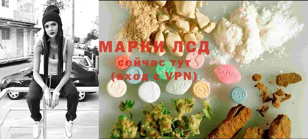 гидра Богданович